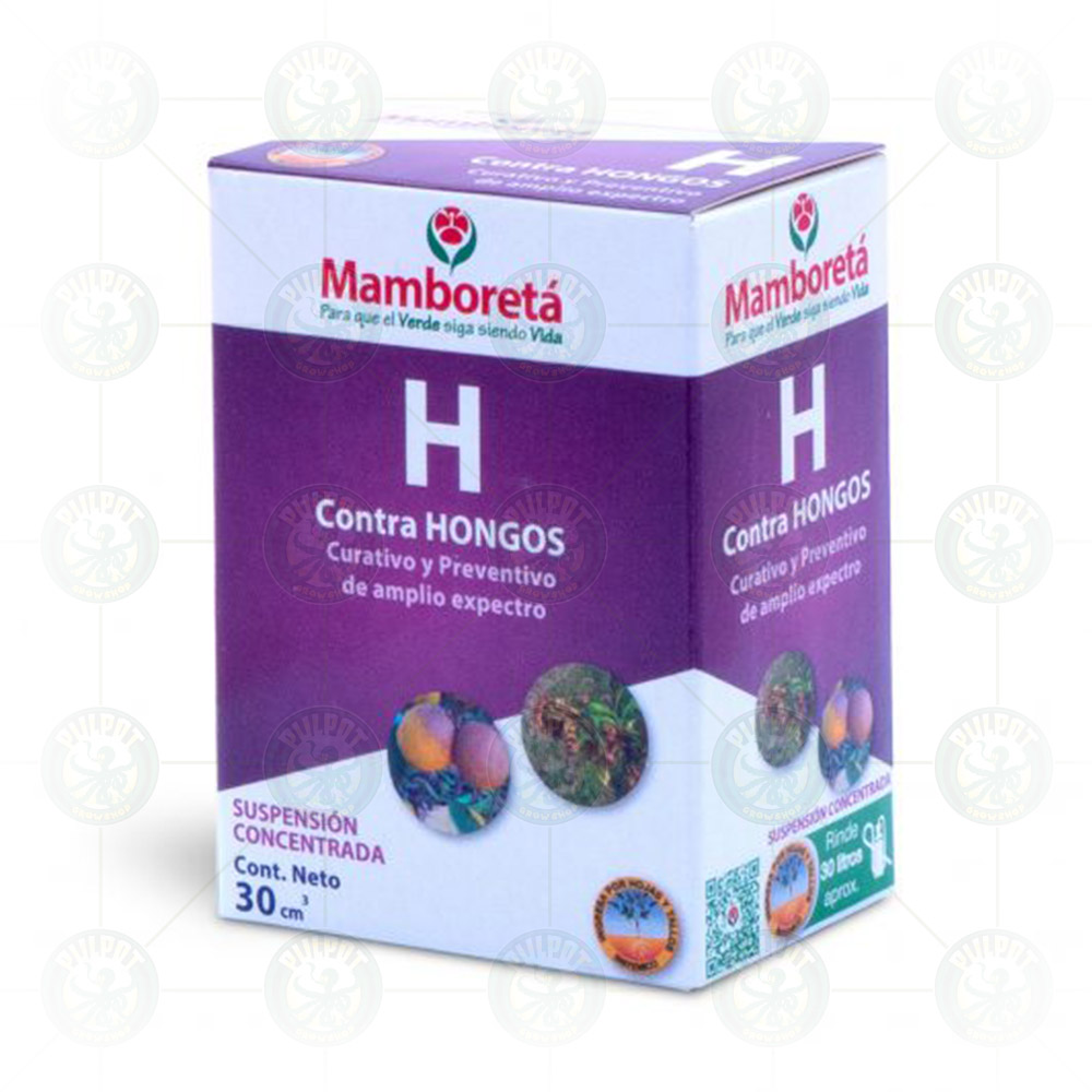 MAMBORETA / H - 30 cc
