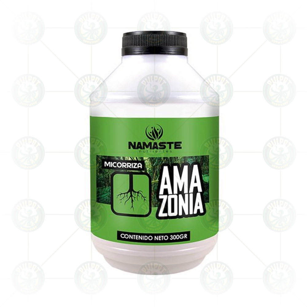 NAMASTE / AMAZONIA - 300 gr