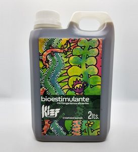 KIEF / BIO MICROORGANISMOS EFICIENTES - 2 lts