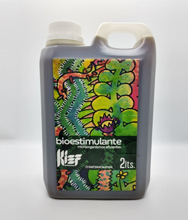 KIEF / BIO MICROORGANISMOS EFICIENTES - 2 lts