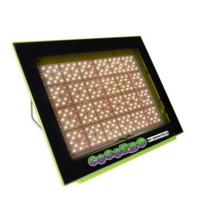 GROWTECH / COGORDO P1000 - 180 W - (100x100)